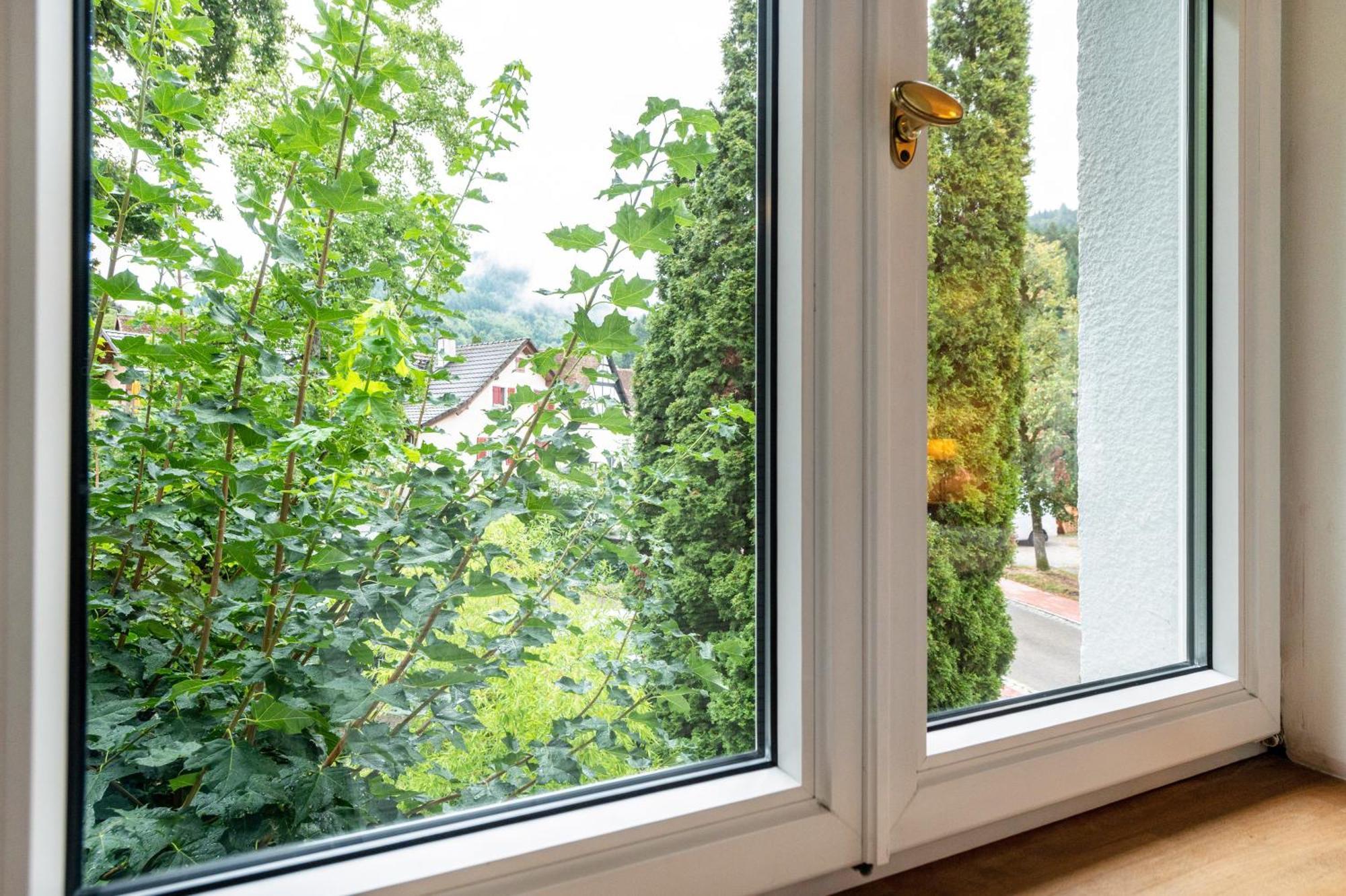 Appartement Waldhorn バーデンヴァイラー エクステリア 写真