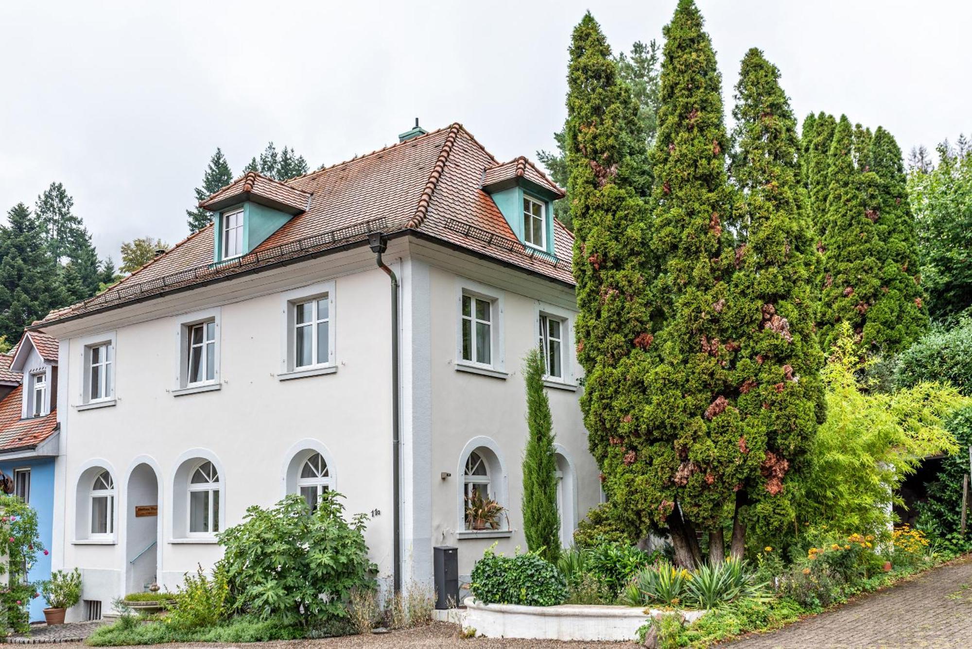 Appartement Waldhorn バーデンヴァイラー エクステリア 写真